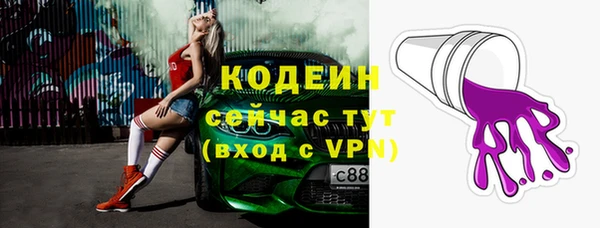 хмурый Горно-Алтайск