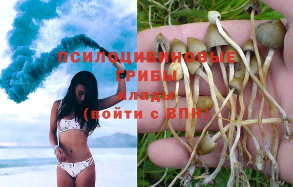 хмурый Горно-Алтайск