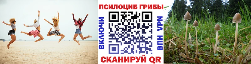 Псилоцибиновые грибы прущие грибы  Купить где  Тихвин 